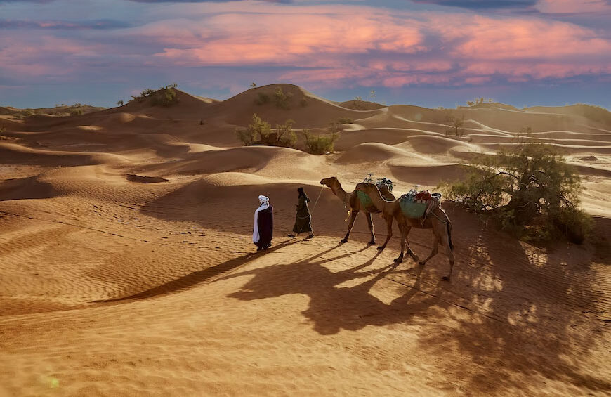 Desert Trip to Zagora Dunes