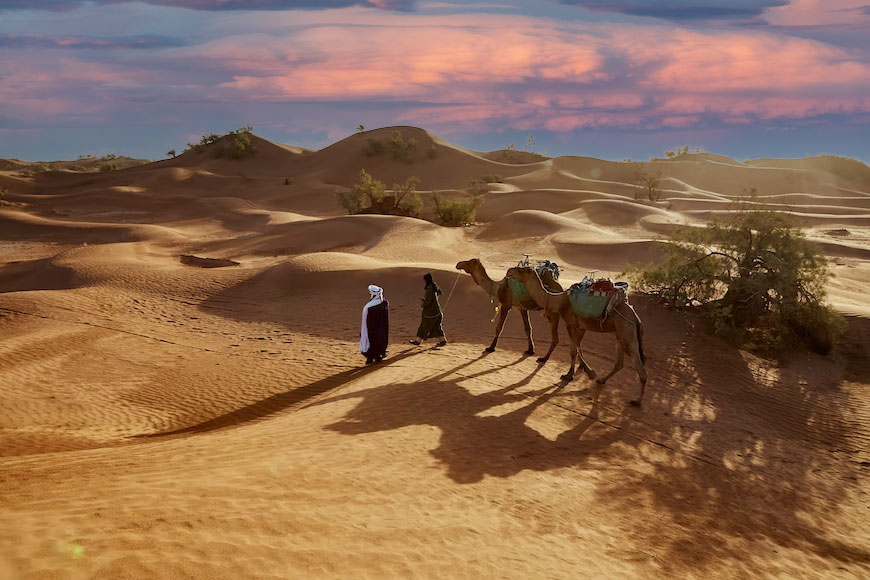 Desert Trip to Zagora Dunes